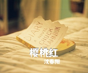 沈春阳《樱桃红》C调吉他谱