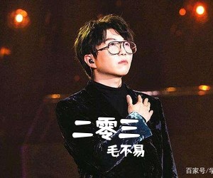 毛不易《二零三》G调吉他谱