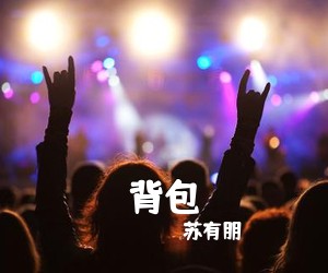 苏有朋《背包》G调吉他谱