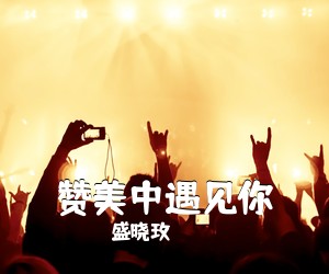 盛晓玫《赞美中遇见你》吉他谱