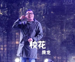 庞龙《校花》G调吉他谱