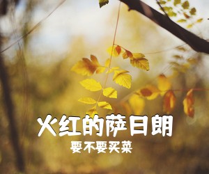 要不要买菜《火红的萨日朗》C调吉他谱