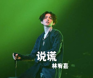 林宥嘉《说谎》G调吉他谱