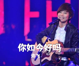 许飞《你如今好吗》D调吉他谱