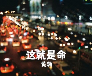 这就是命