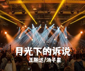 王丽达/汤子星《月光下的诉说》尤克里里谱