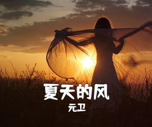 元卫《夏天的风》吉他谱