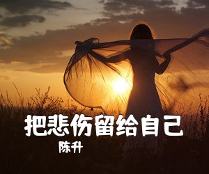 陈升《把悲伤留给自己》G调吉他谱