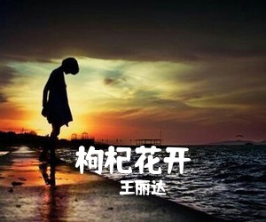 枸杞花开