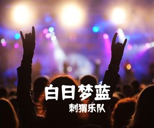 刺猬乐队《白日梦蓝》D调吉他谱