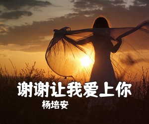 杨培安《谢谢让我爱上你》G调吉他谱