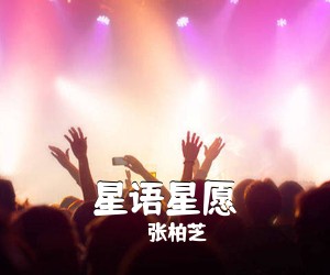 张柏芝《星语星愿》G调吉他谱