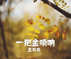 王月华《一把金唢呐》尤克里里谱