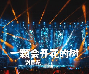 谢春花《一颗会开花的树》C调吉他谱