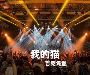 吉克隽逸《我的猫》C调吉他谱