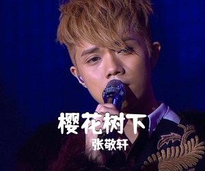 张敬轩《樱花树下》C调吉他谱
