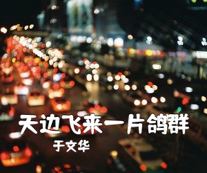 《天边飞来一片鸽群》 简谱