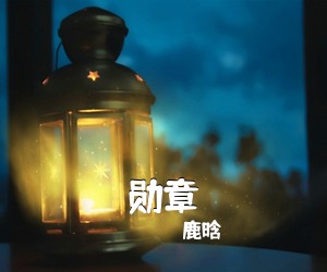 鹿晗《勋章》D调吉他谱