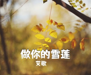艾歌《做你的雪莲》尤克里里谱