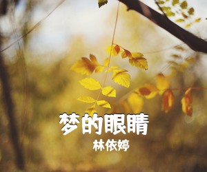 林依婷《梦的眼睛》尤克里里谱