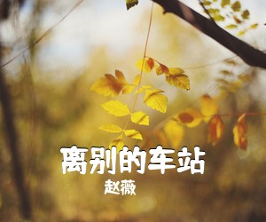 赵薇《离别的车站》C调吉他谱