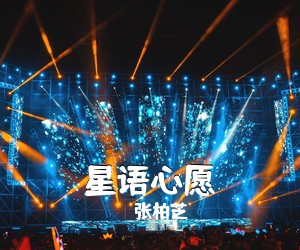 张柏芝《星语心愿》G调吉他谱