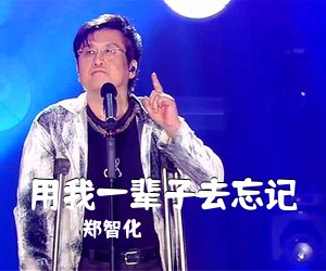 郑智化《用我一辈子去忘记》C调吉他谱