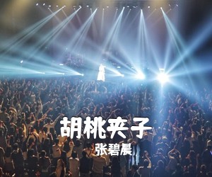 张碧晨《胡桃夹子》E调吉他谱