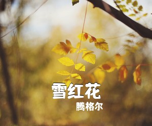 腾格尔《雪红花》尤克里里谱