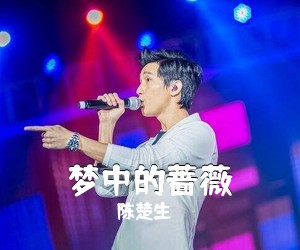 陈楚生《梦中的蔷薇》F调吉他谱