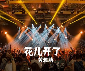 黄雅莉《花儿开了》C调吉他谱