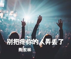 雨宗林《别把疼你的人弄丢了》C调吉他谱