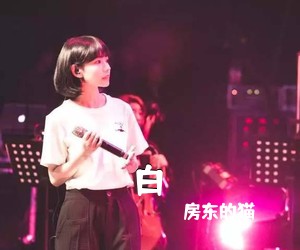 房东的猫《白》C调吉他谱