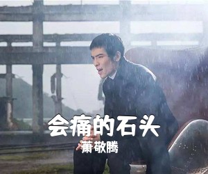 萧敬腾《会痛的石头》G调吉他谱