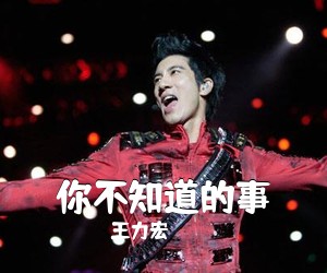 王力宏《你不知道的事》C调吉他谱