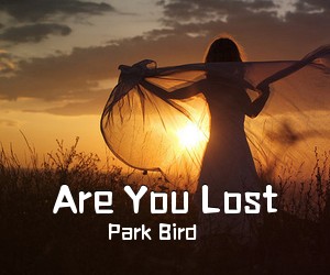 Park Bird《Are You Lost》尤克里里谱