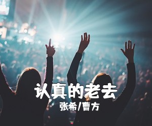 张希/曹方《认真的老去》吉他谱