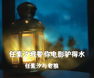 任素汐与老狼《任素汐我要你电影驴得水》C调吉他谱