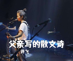 许飞《父亲写的散文诗》C调吉他谱