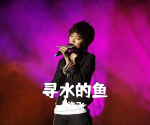 许飞《寻水的鱼》E调吉他谱