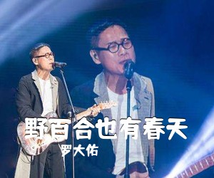 罗大佑《野百合也有春天》C调吉他谱
