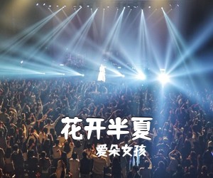 爱朵女孩《花开半夏》C调吉他谱