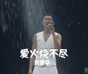 刘德华《爱火烧不尽》G调吉他谱