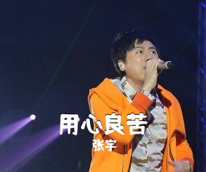 张宇《用心良苦》G调吉他谱