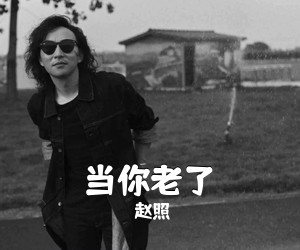 赵照《当你老了》C调吉他谱