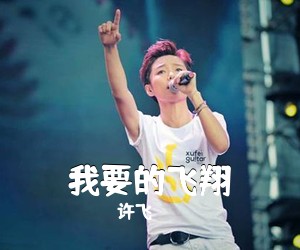 许飞《我要的飞翔》G调吉他谱