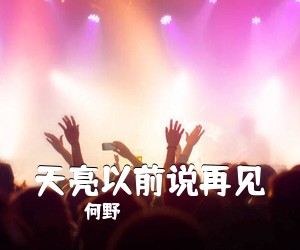 何野《天亮以前说再见》G调吉他谱