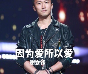 谢霆锋《因为爱所以爱》C调吉他谱