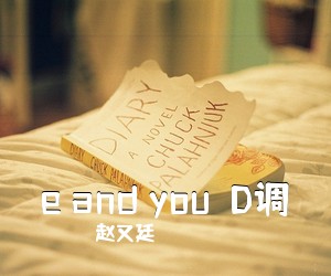 赵又廷《e and you  D调》D调吉他谱