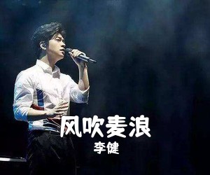 《风吹麦浪》 简谱